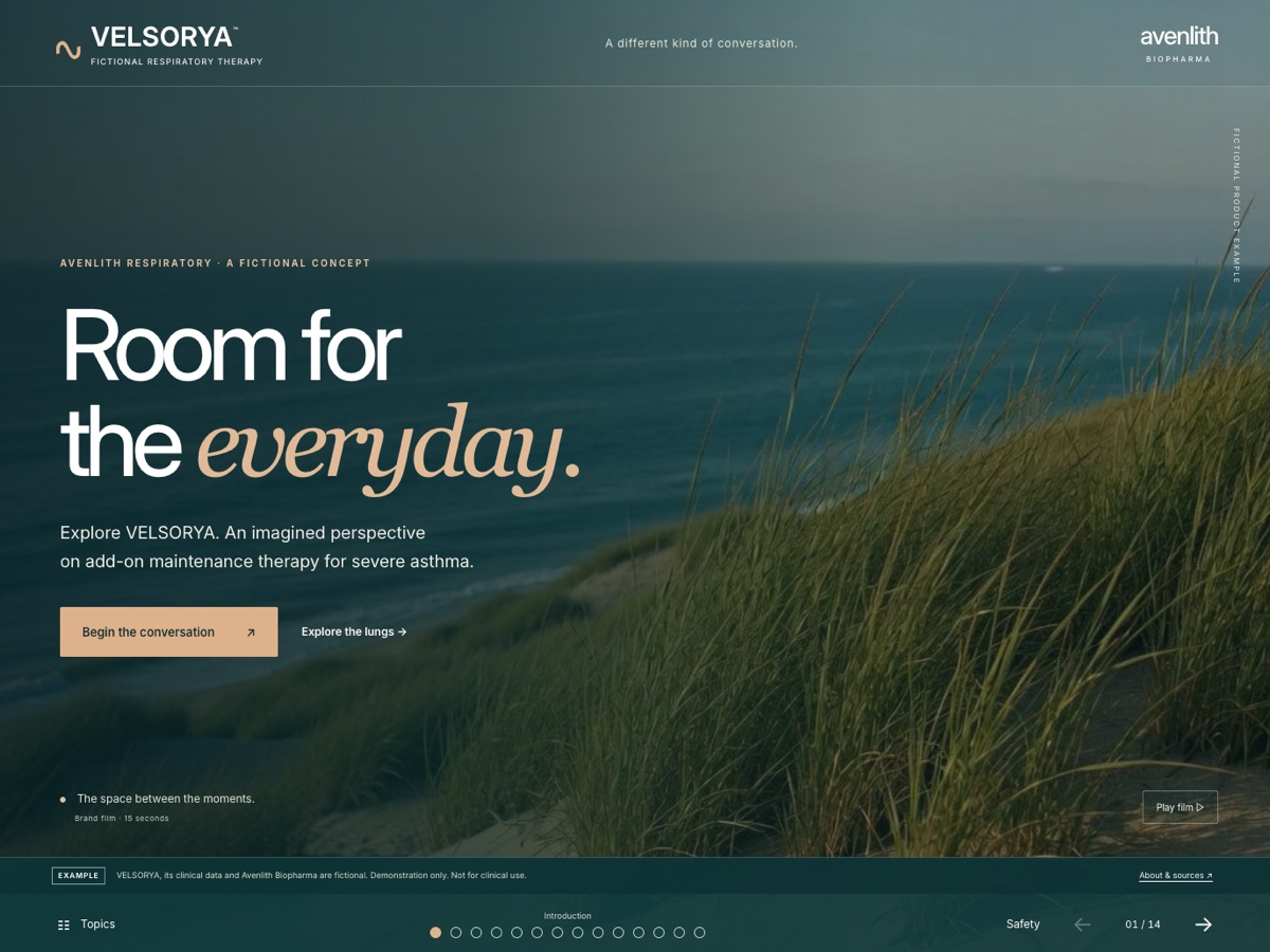 Real preview of the fictional VELSORYA presentation’s coastal film cover
